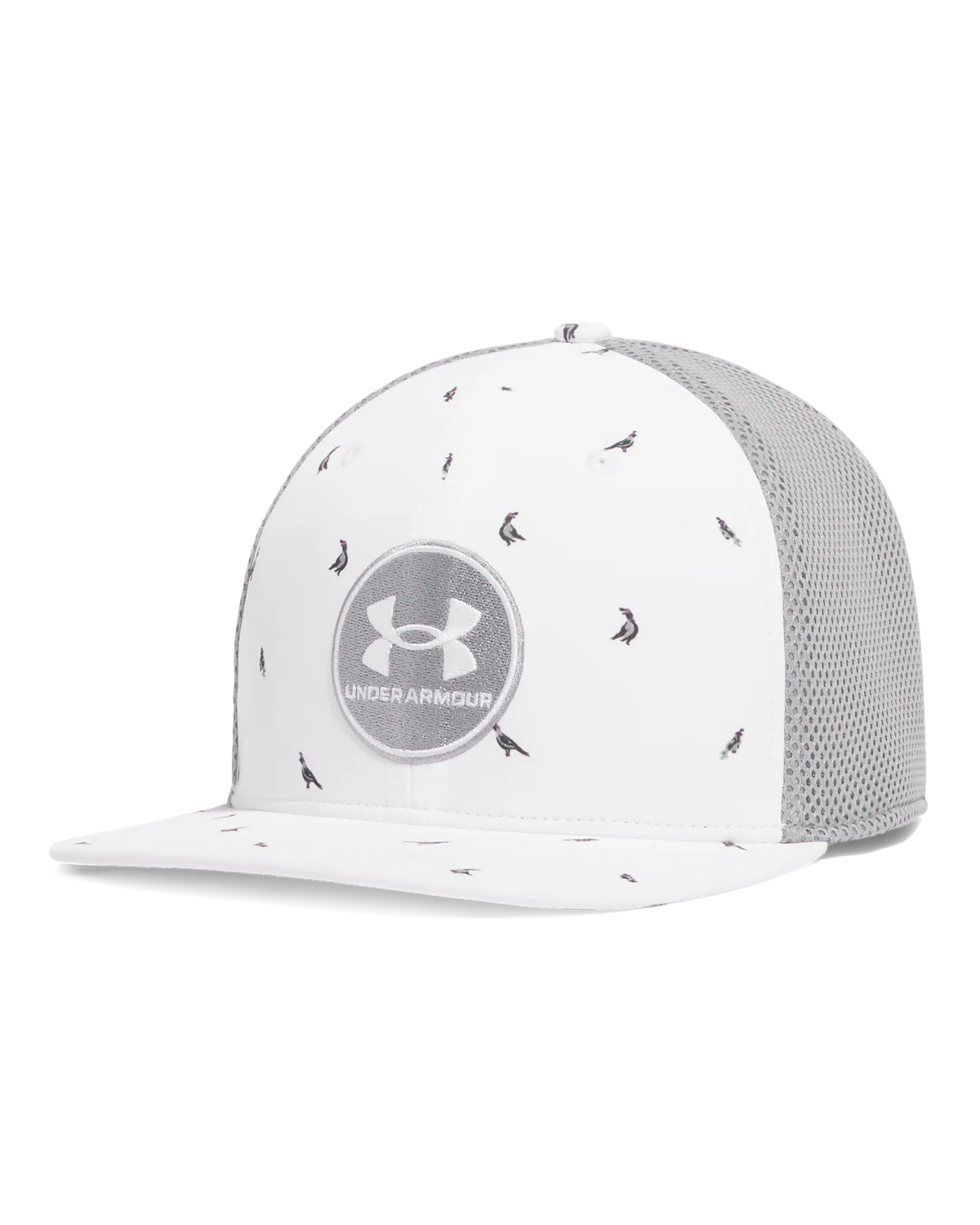 Men's UA Iso-Chill Drive Low Stretch Fit Cap
