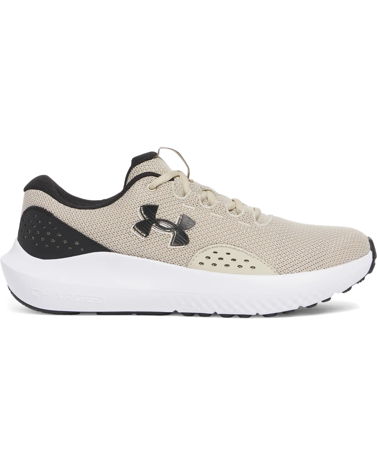 Men's UA Surge 4 Running Shoes